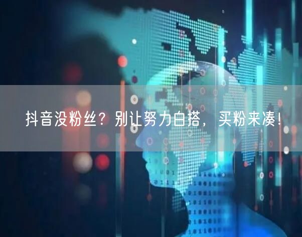 抖音没粉丝？别让努力白搭，买粉来凑！
