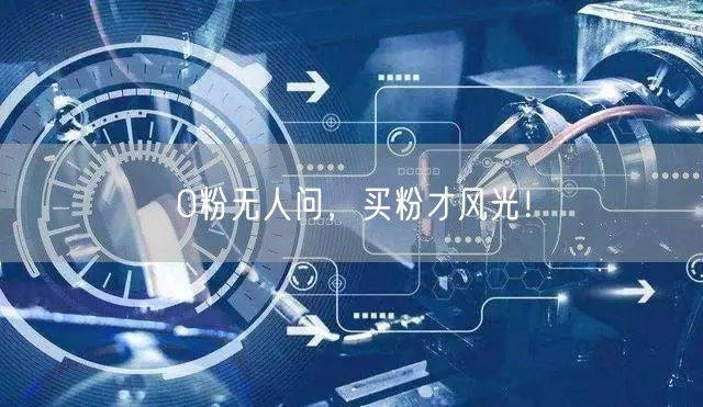 0粉无人问，买粉才风光！