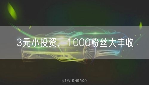 3元小投资，1000粉丝大丰收