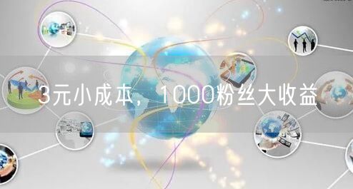 3元小成本，1000粉丝大收益