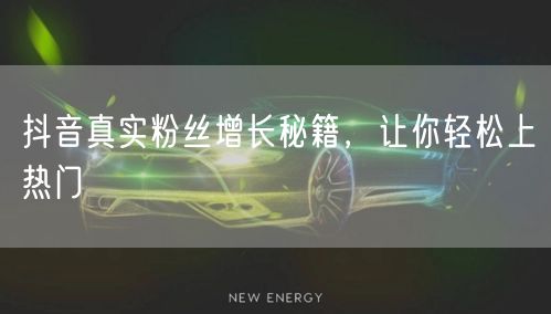 抖音真实粉丝增长秘籍，让你轻松上热门