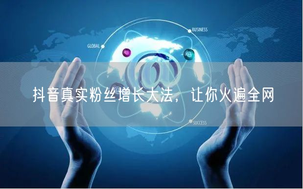 抖音真实粉丝增长大法，让你火遍全网
