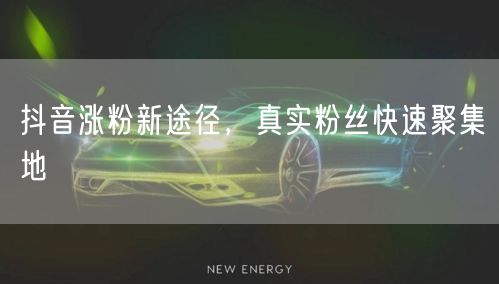 抖音涨粉新途径，真实粉丝快速聚集地