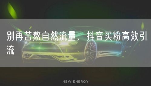 别再苦熬自然流量，抖音买粉高效引流