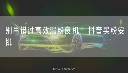 别再错过高效涨粉良机，抖音买粉安排