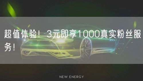 超值体验！3元即享1000真实粉丝服务！