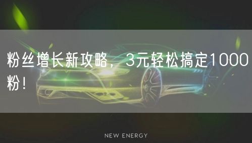 粉丝增长新攻略，3元轻松搞定1000粉！