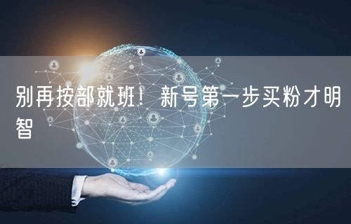 别再按部就班！新号第一步买粉才明智