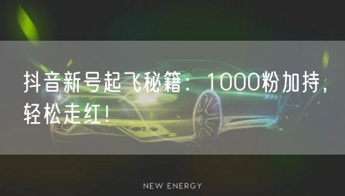 抖音新号起飞秘籍：1000粉加持，轻松走红！
