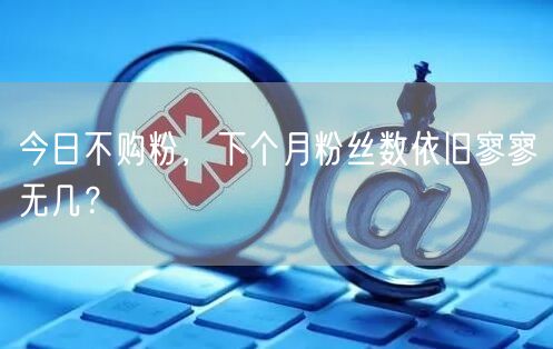 今日不购粉，下个月粉丝数依旧寥寥无几？