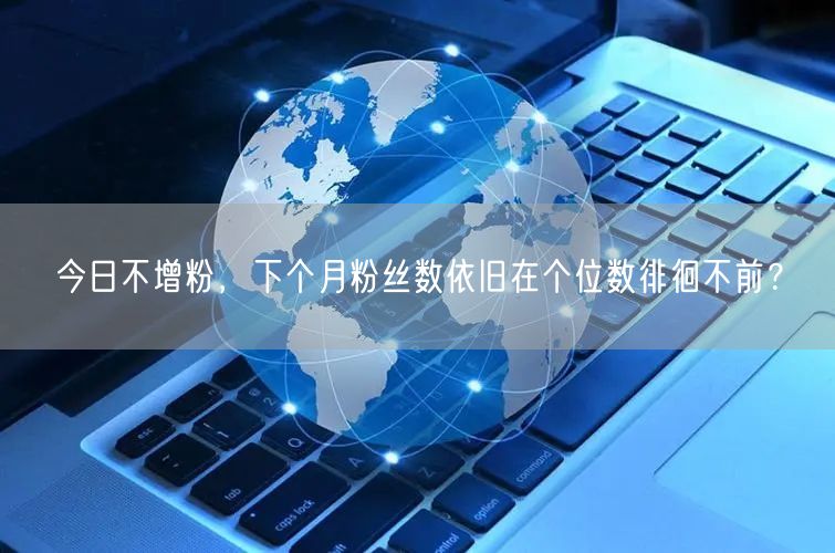 今日不增粉，下个月粉丝数依旧在个位数徘徊不前？