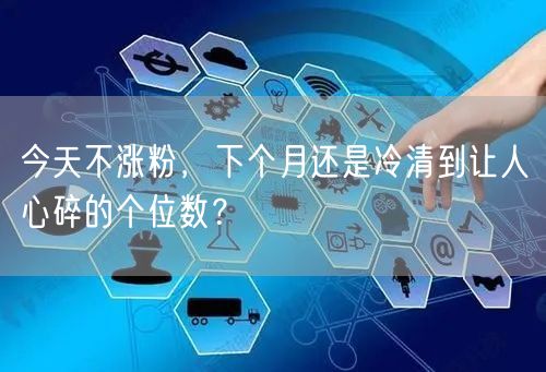 今天不涨粉，下个月还是冷清到让人心碎的个位数？