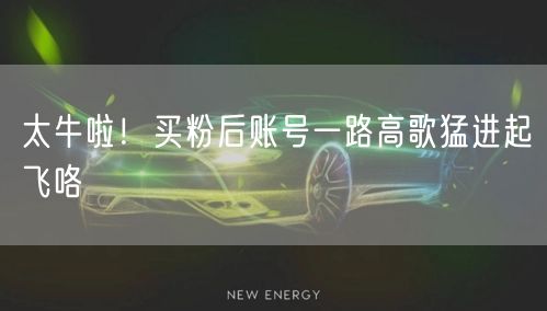 太牛啦！买粉后账号一路高歌猛进起飞咯