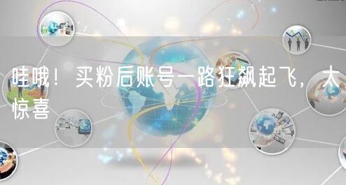 哇哦！买粉后账号一路狂飙起飞，太惊喜