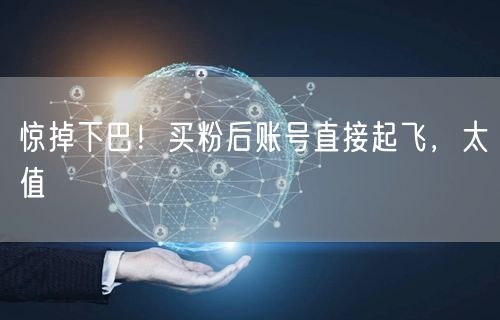 惊掉下巴！买粉后账号直接起飞，太值