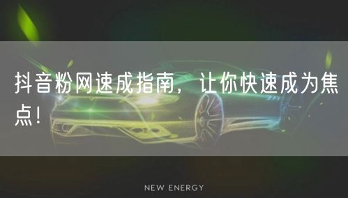 抖音粉网速成指南，让你快速成为焦点！
