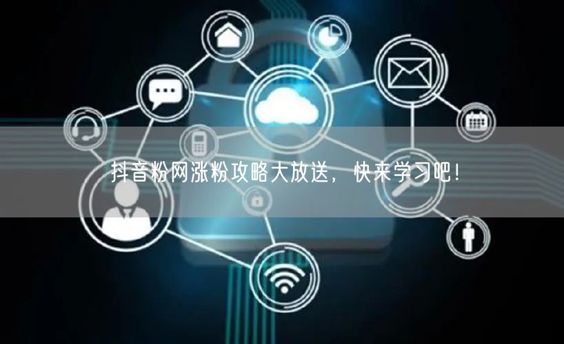 抖音粉网涨粉攻略大放送，快来学习吧！