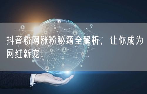 抖音粉网涨粉秘籍全解析，让你成为网红新宠！