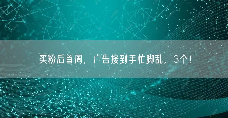 买粉后首周，广告接到手忙脚乱，3个！