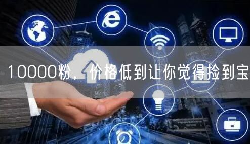 10000粉，价格低到让你觉得捡到宝