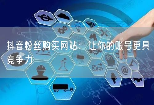 抖音粉丝购买网站：让你的账号更具竞争力