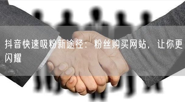 抖音快速吸粉新途径：粉丝购买网站，让你更闪耀